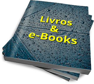 livros  e books 300x268 - Publicações